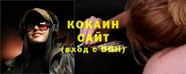 ALPHA-PVP Каменка