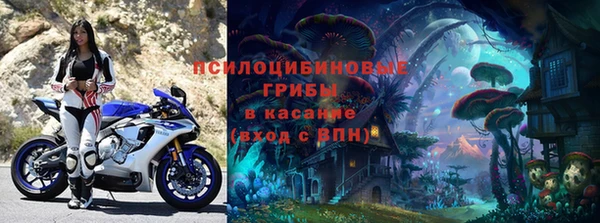 ALPHA-PVP Каменка