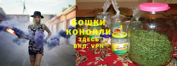 ALPHA-PVP Каменка
